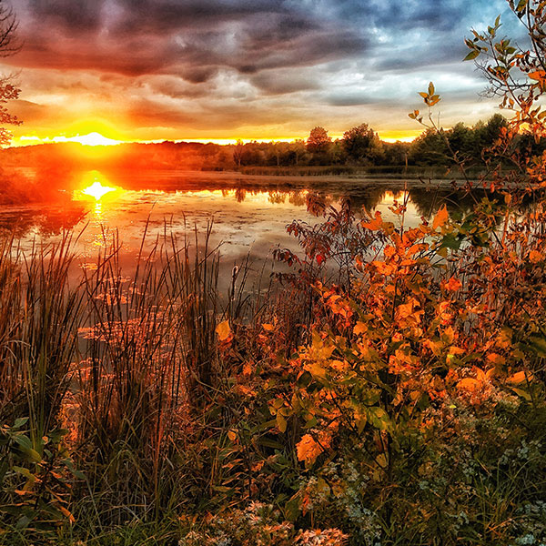 landscape-1