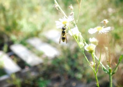 Nature & Landscape 01 — Mel Green Photography