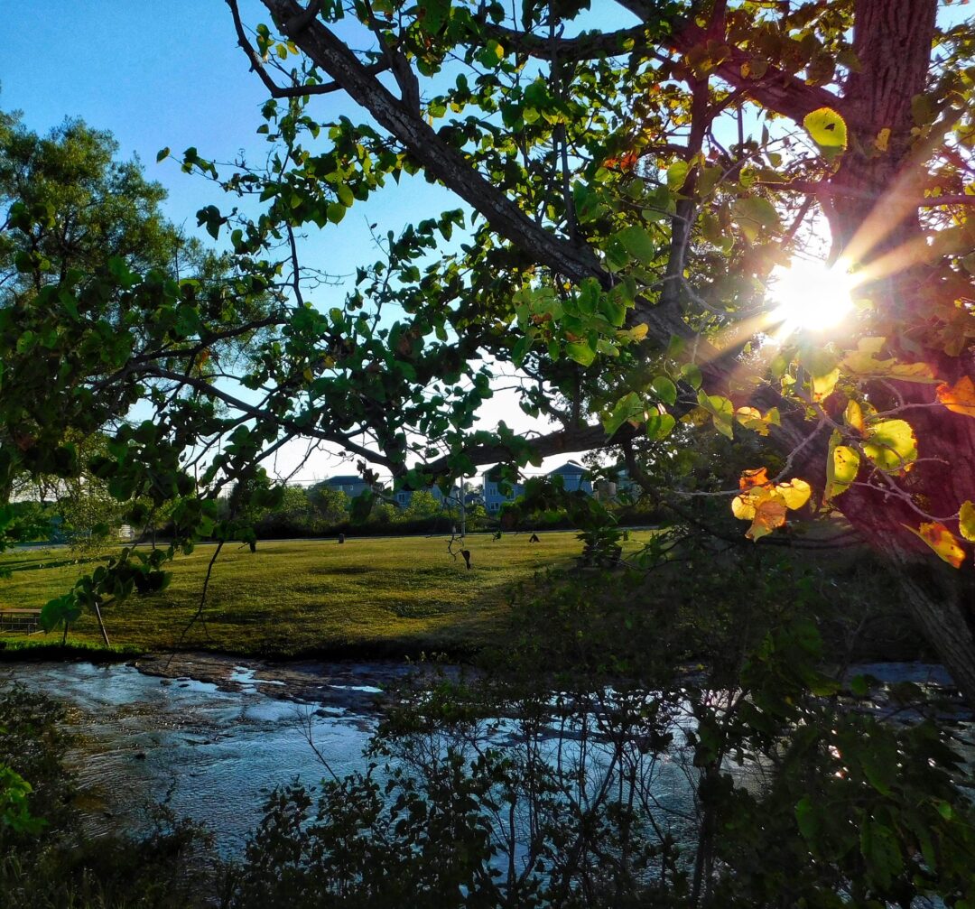 Nature and landscape photography in South Eastern Ontario by Mel Green Photography