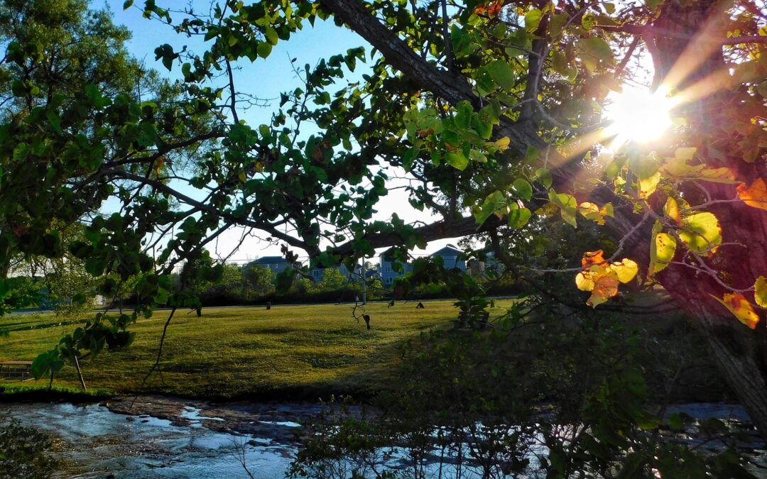 Nature & Landscape 02 — Mel Green Photography