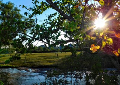 Nature & Landscape 02 — Mel Green Photography
