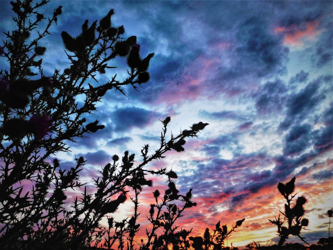 Nature and landscape photography in South Eastern Ontario by Mel Green Photography