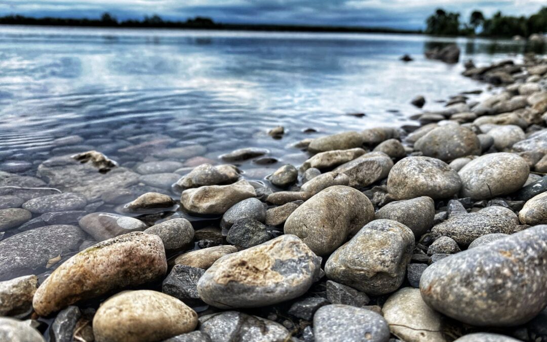 Nature & Landscape 04 — Mel Green Photography