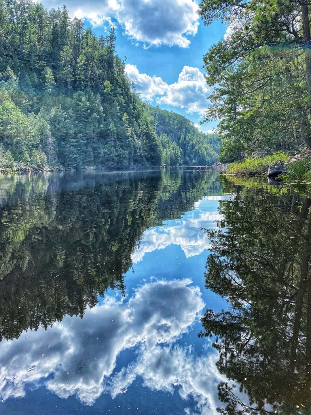 Nature and landscape photography in South Eastern Ontario by Mel Green Photography