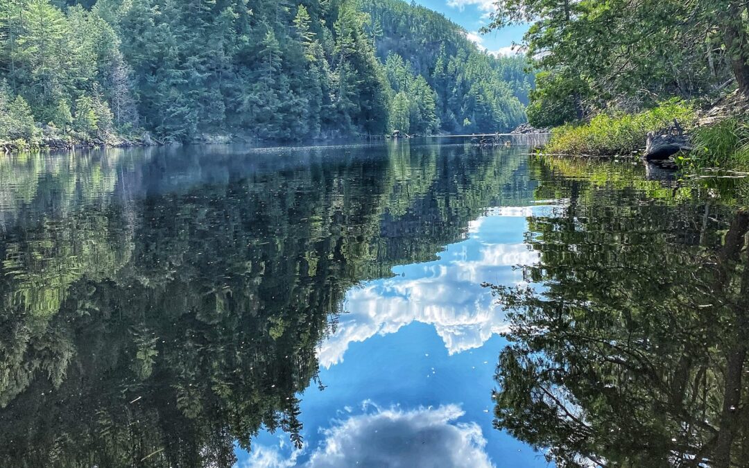 Nature & Landscape 05 — Mel Green Photography
