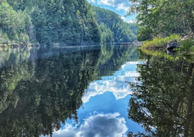 Nature & Landscape 05 — Mel Green Photography
