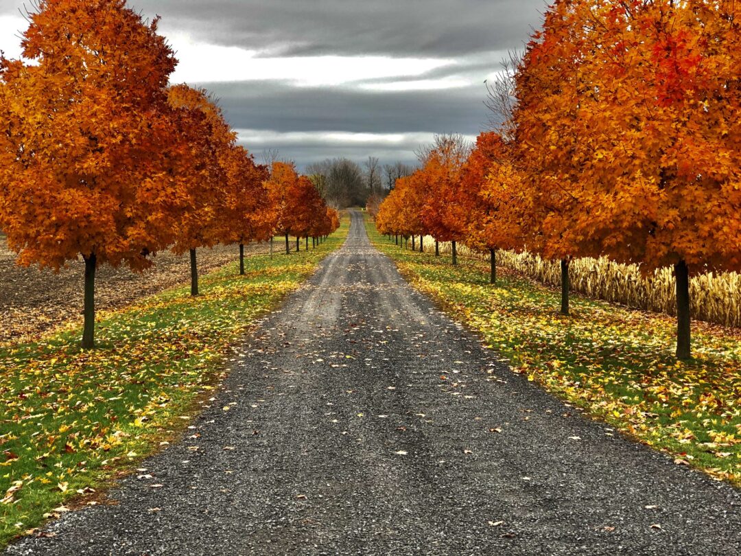 Nature and landscape photography in South Eastern Ontario by Mel Green Photography