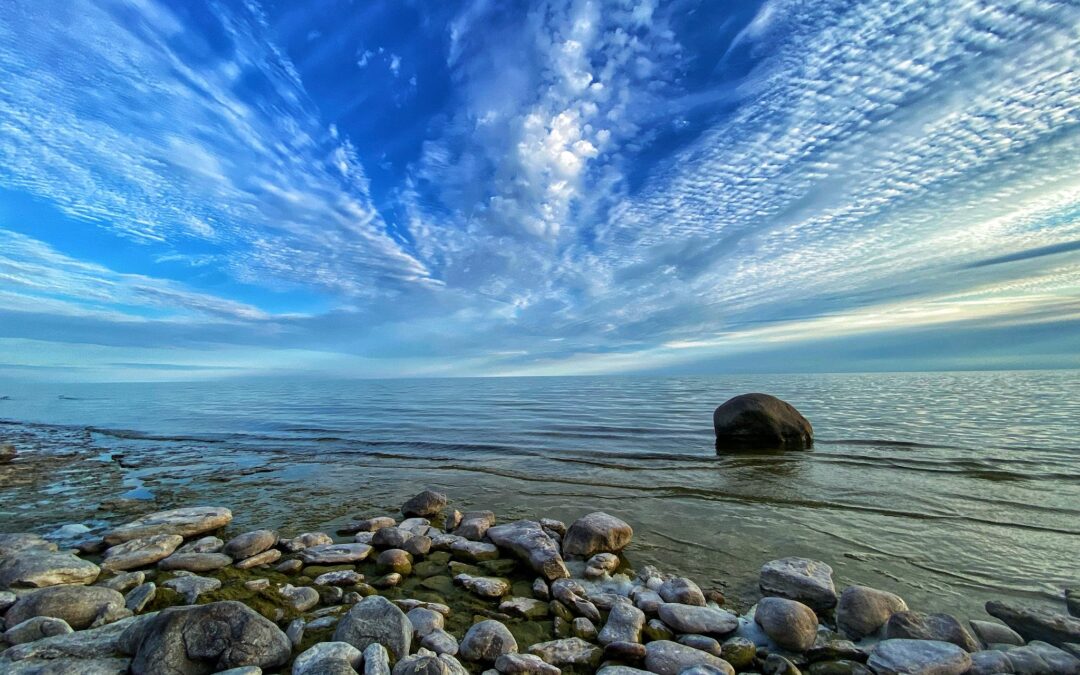 Nature & Landscape 08 — Mel Green Photography