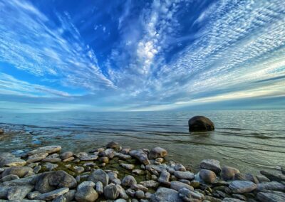 Nature & Landscape 08 — Mel Green Photography