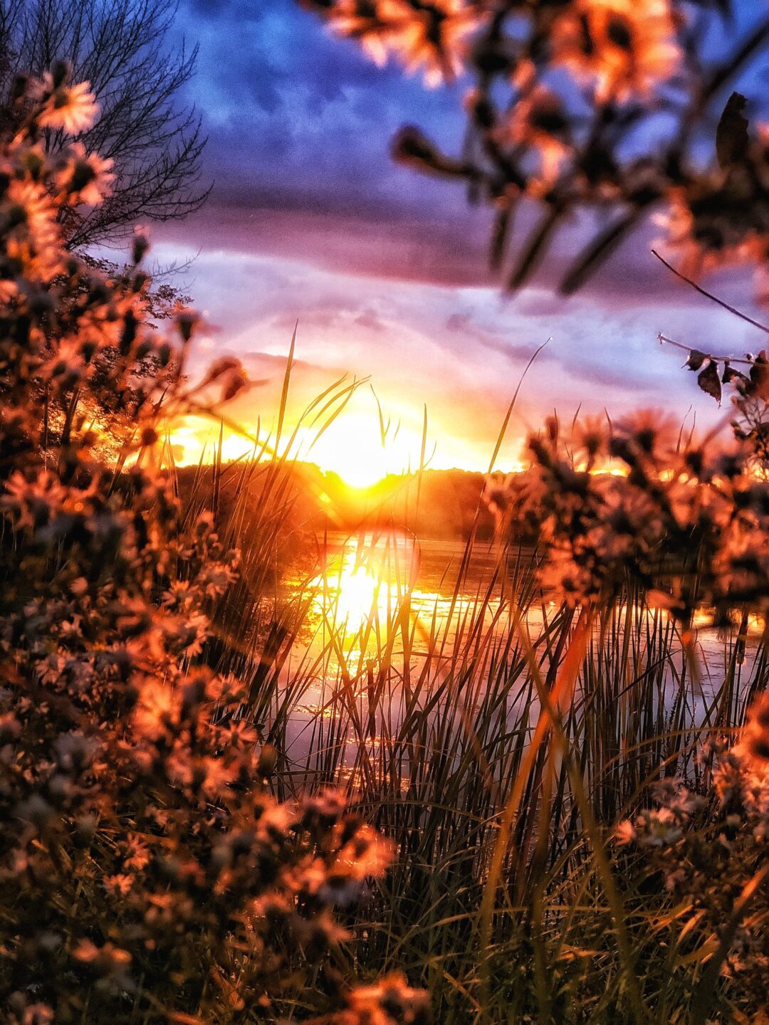 Nature and landscape photography in South Eastern Ontario by Mel Green Photography