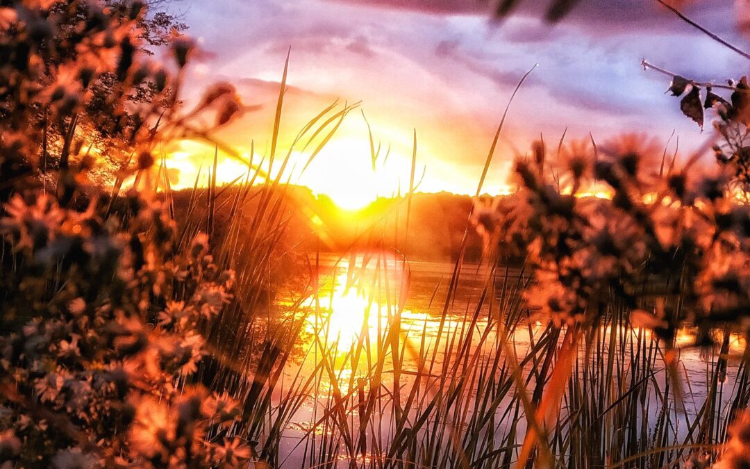 Nature & Landscape 09 — Mel Green Photography