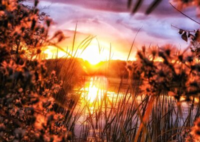Nature & Landscape 09 — Mel Green Photography