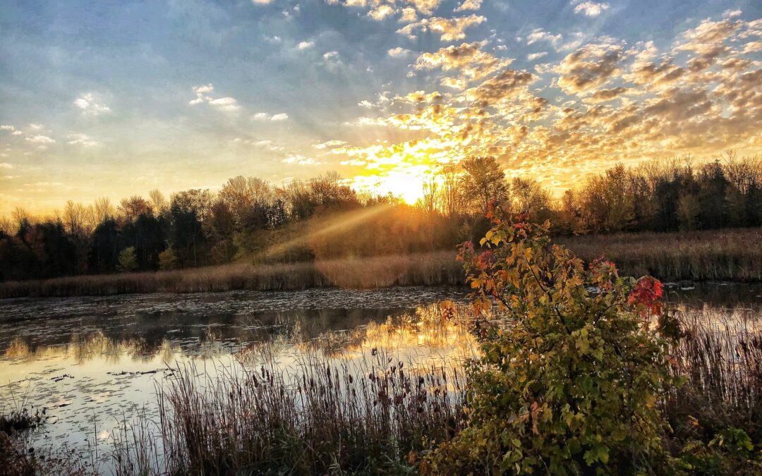 Nature & Landscape 10 — Mel Green Photography