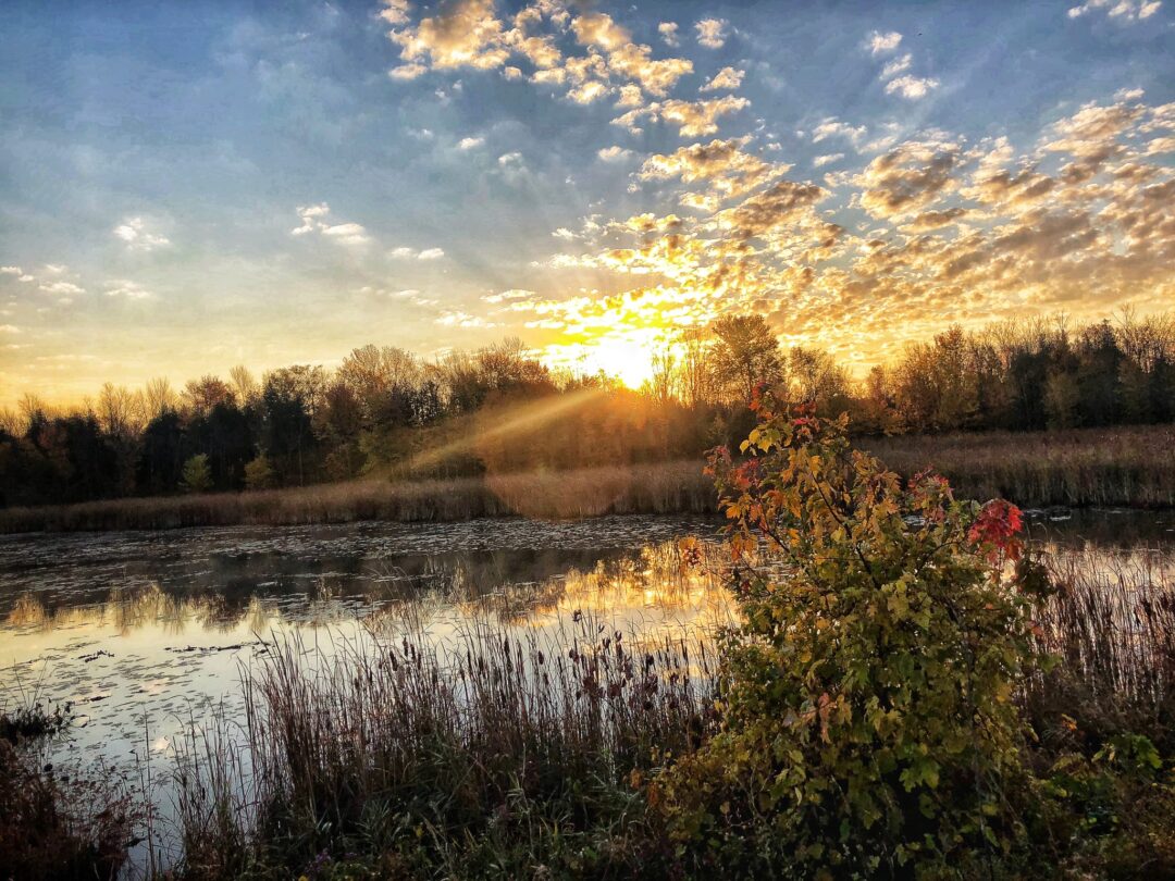 Nature and landscape photography in South Eastern Ontario by Mel Green Photography