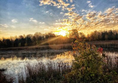 Nature & Landscape 10 — Mel Green Photography
