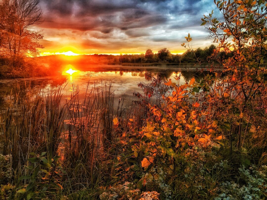Nature and landscape photography in South Eastern Ontario by Mel Green Photography