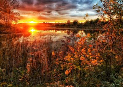 Nature & Landscape 11 — Mel Green Photography