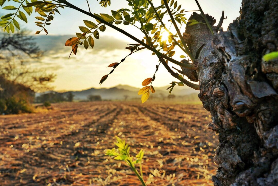 Nature and landscape photography in South Eastern Ontario by Mel Green Photography