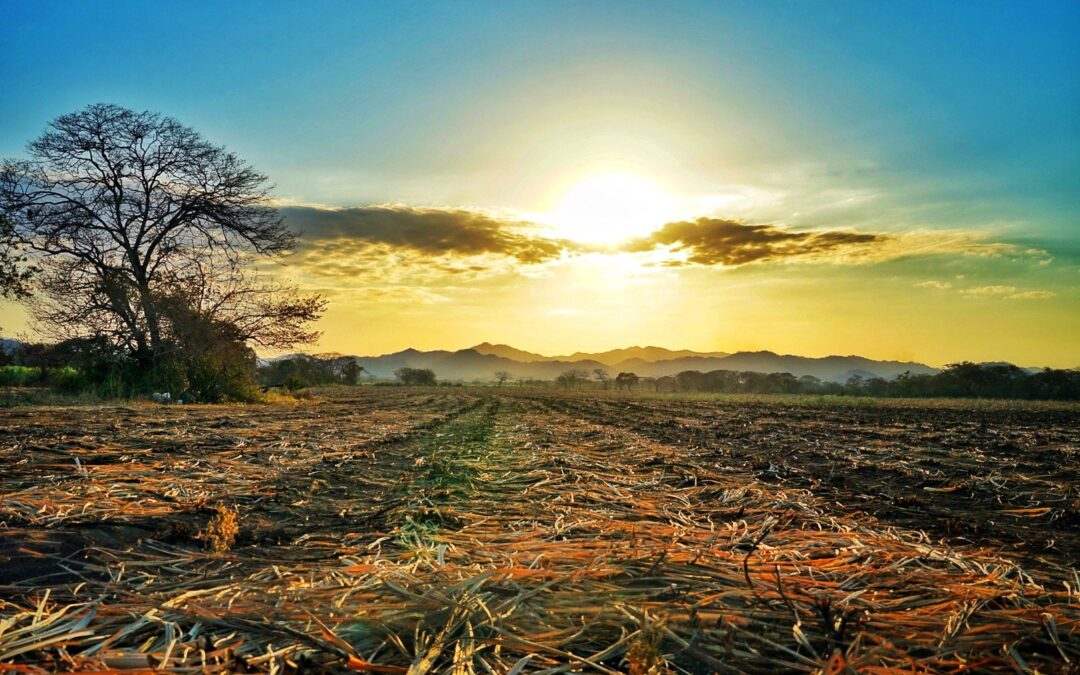 Nature & Landscape 16 — Mel Green Photography