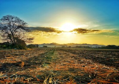 Nature & Landscape 16 — Mel Green Photography