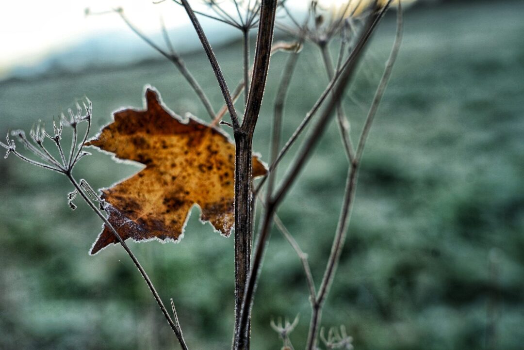Nature and landscape photography in South Eastern Ontario by Mel Green Photography