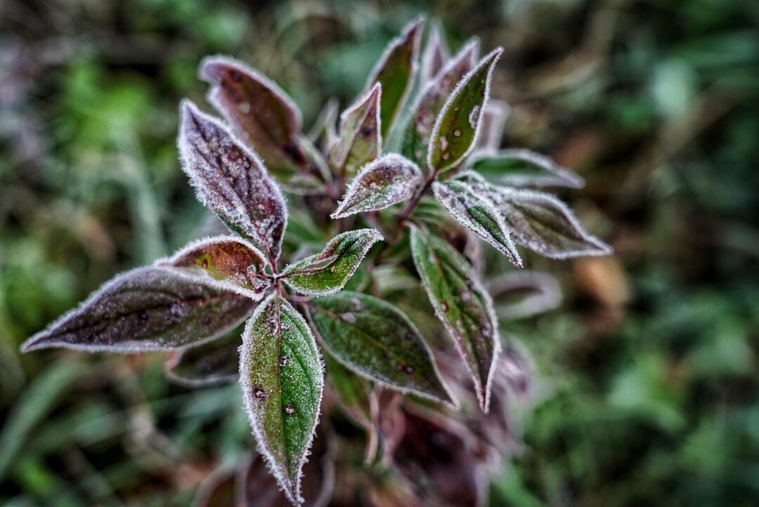 Nature and landscape photography in South Eastern Ontario by Mel Green Photography