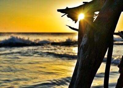 Nature & Landscape 20 — Mel Green Photography