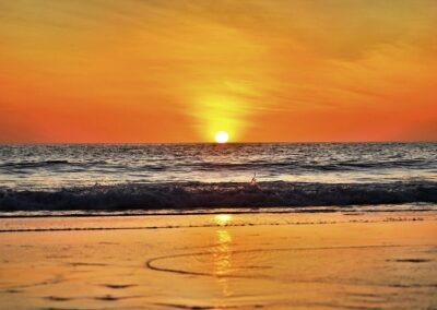 Nature & Landscape 21 — Mel Green Photography