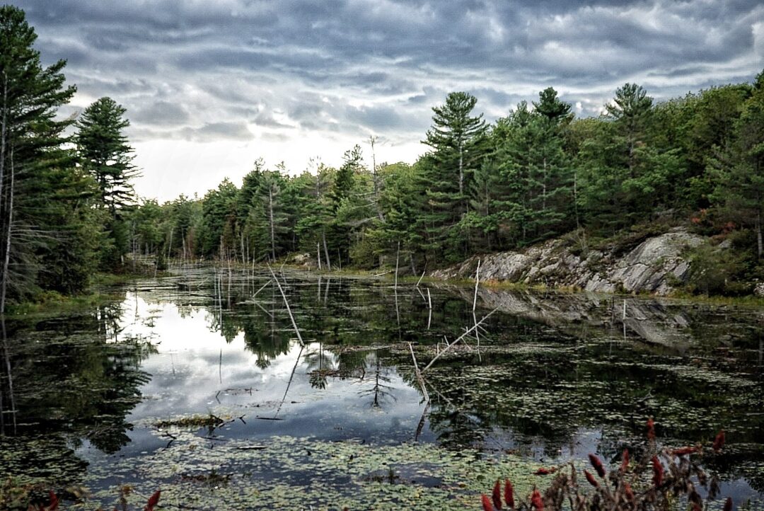 Nature and landscape photography in South Eastern Ontario by Mel Green Photography