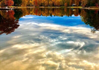 Nature & Landscape 25 — Mel Green Photography