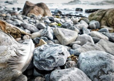 Nature & Landscape 26 — Mel Green Photography