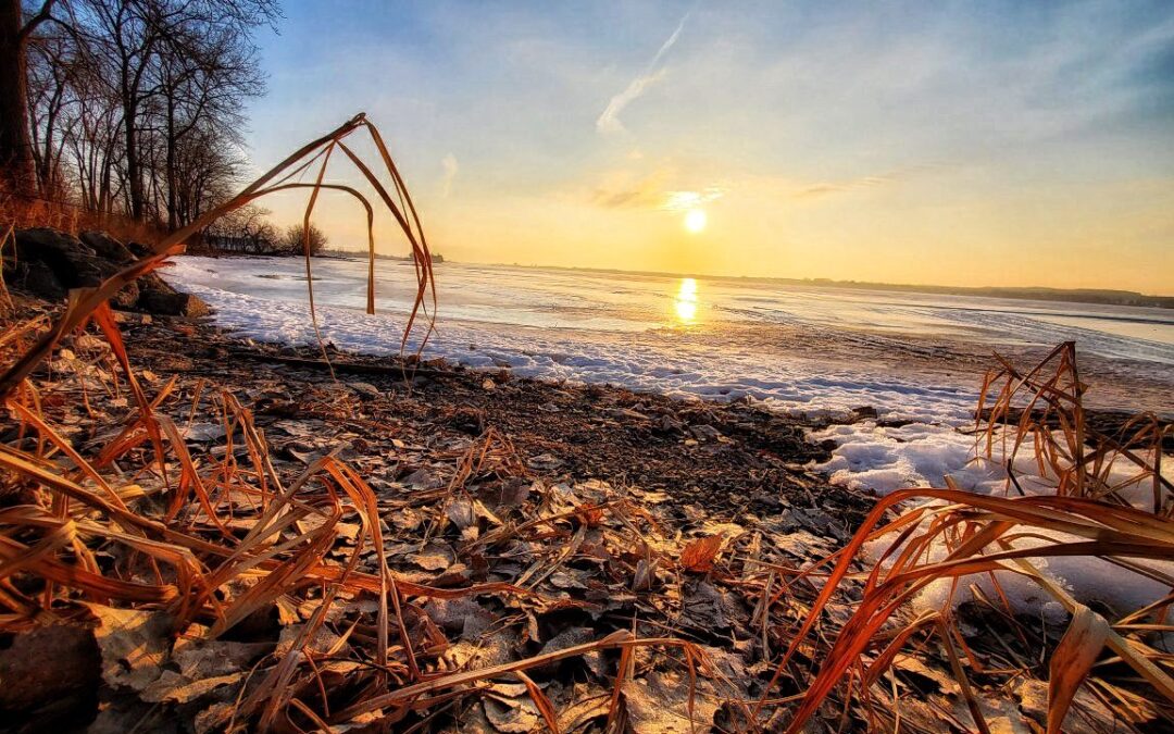 Nature & Landscape 29 — Mel Green Photography