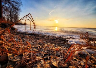 Nature & Landscape 29 — Mel Green Photography