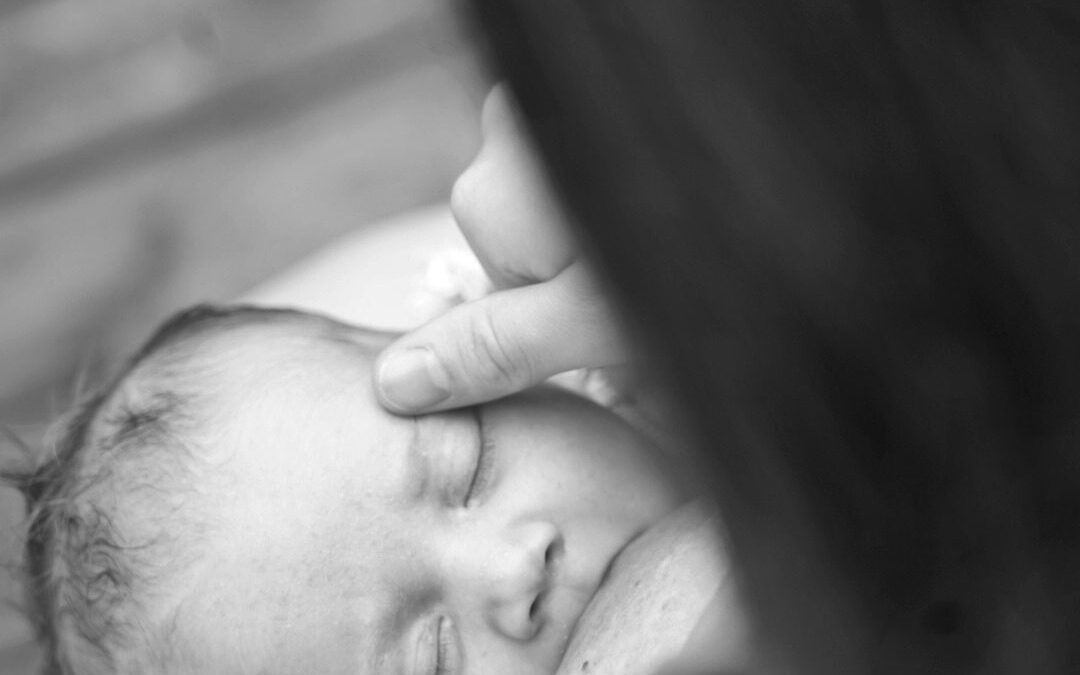 Newborn 04 — Mel Green Photography